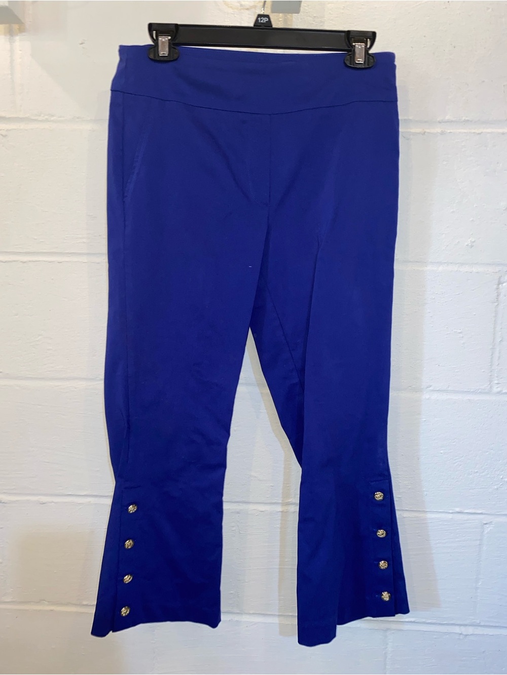 Counterparts Royal Blue Flare Stretch Pants with Gold Buttons